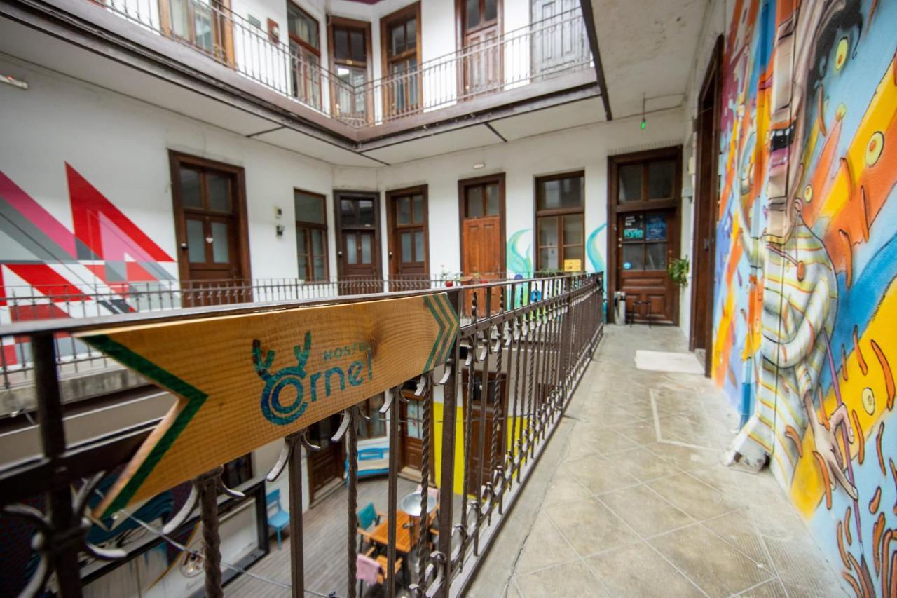 Hostel Cornel 蒂米什瓦拉 外观 照片